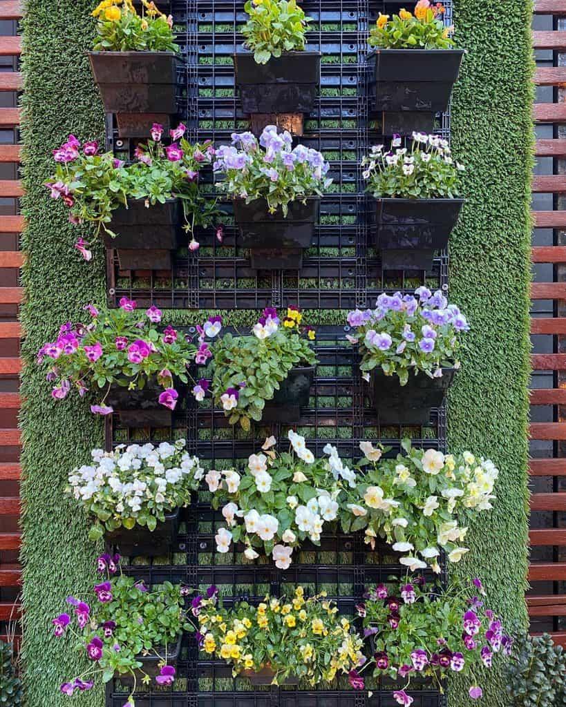 Container flowers and vertical garden