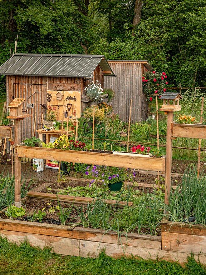 Bird friendly vegetable garden