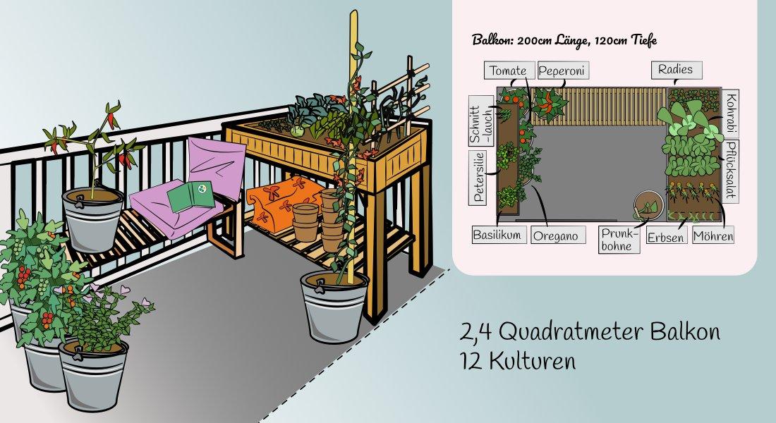 Balcony vegetable garden