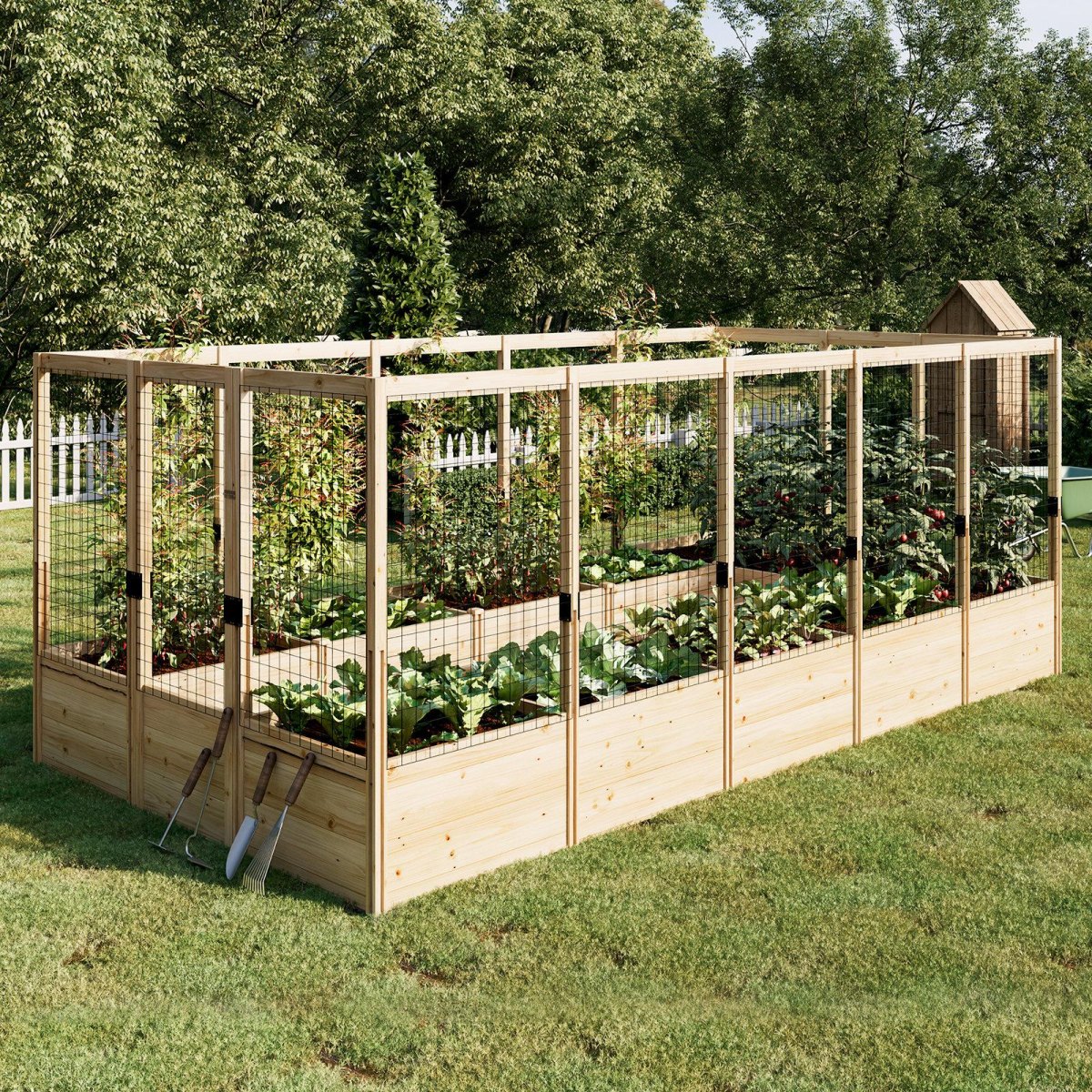 Vegetables growing in enclosed raised bed