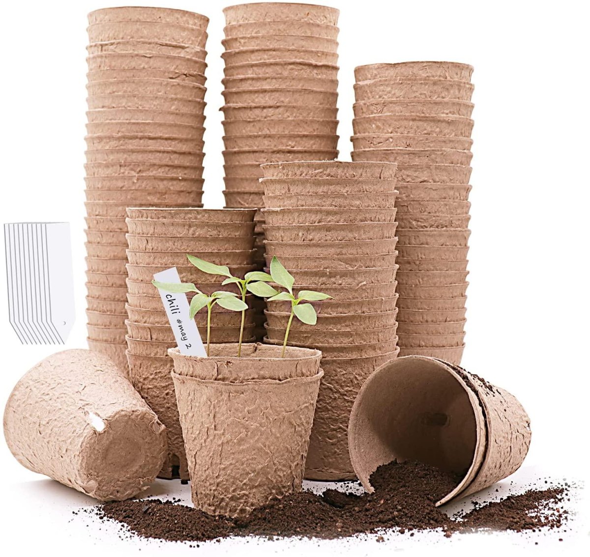 Biodegradable peat pots with seedlings