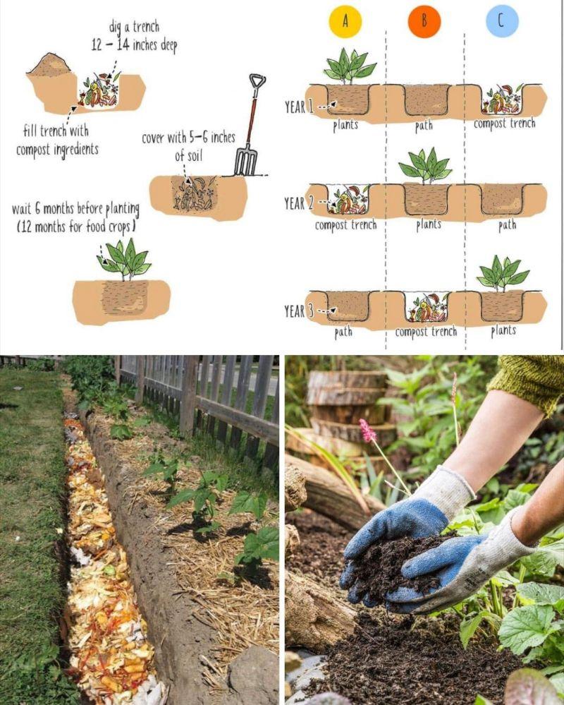 Compost trench dug in garden soil