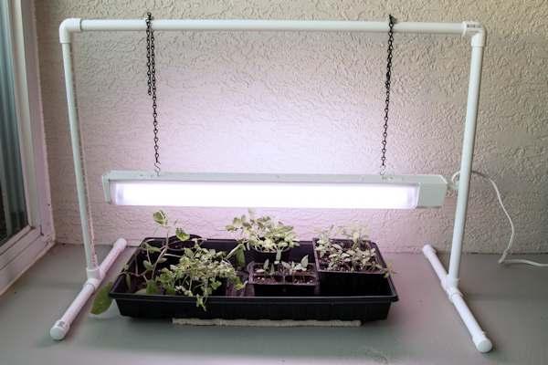 DIY grow lights over seedlings
