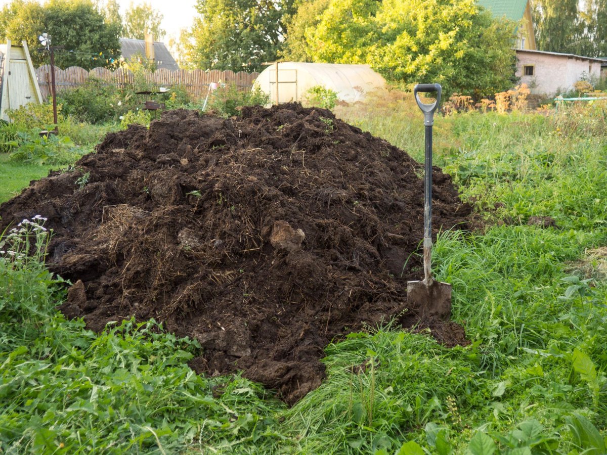 Backyard compost pile improving garden soil