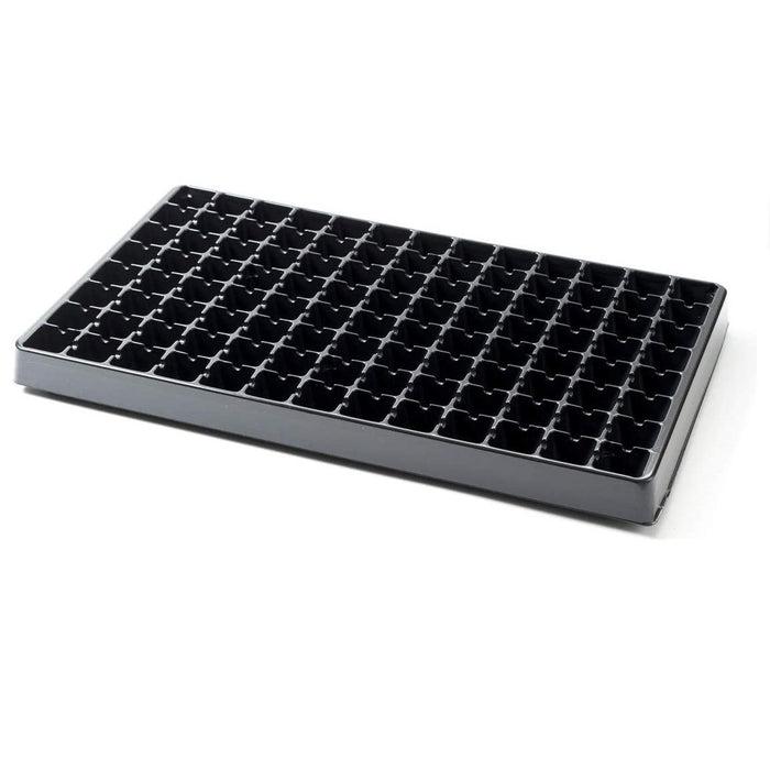 Cell plug tray with seedlings