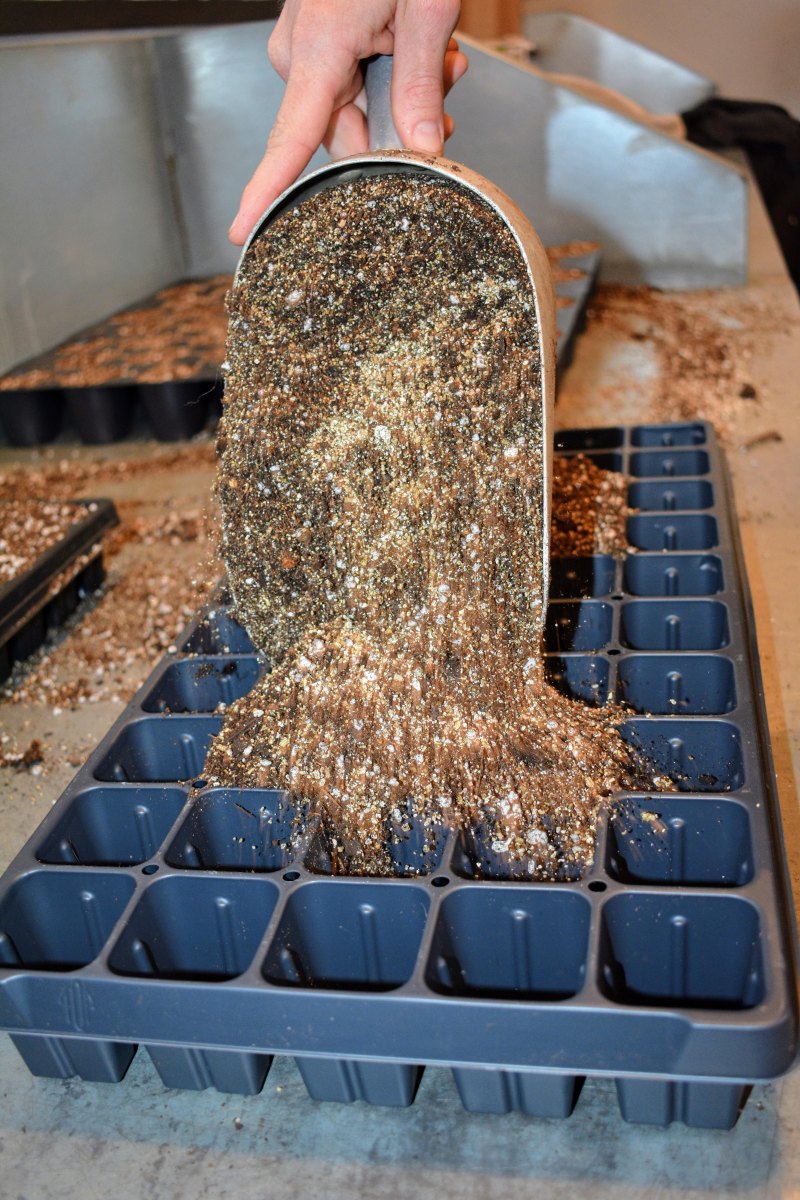 Seed starting mix in a gardening tray