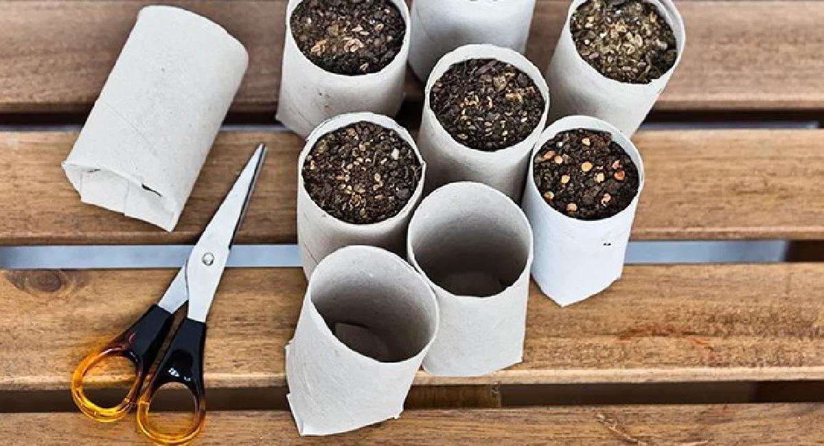 Folded Toilet Paper Roll Seed Starter Pots Tutorial