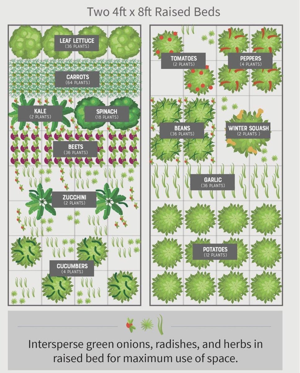 Raised Bed Garden Design Plans for Productive Spaces