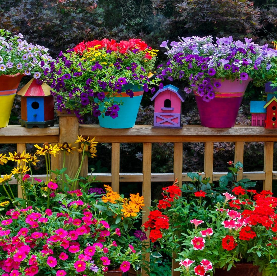 Colorful flower containers arranged together