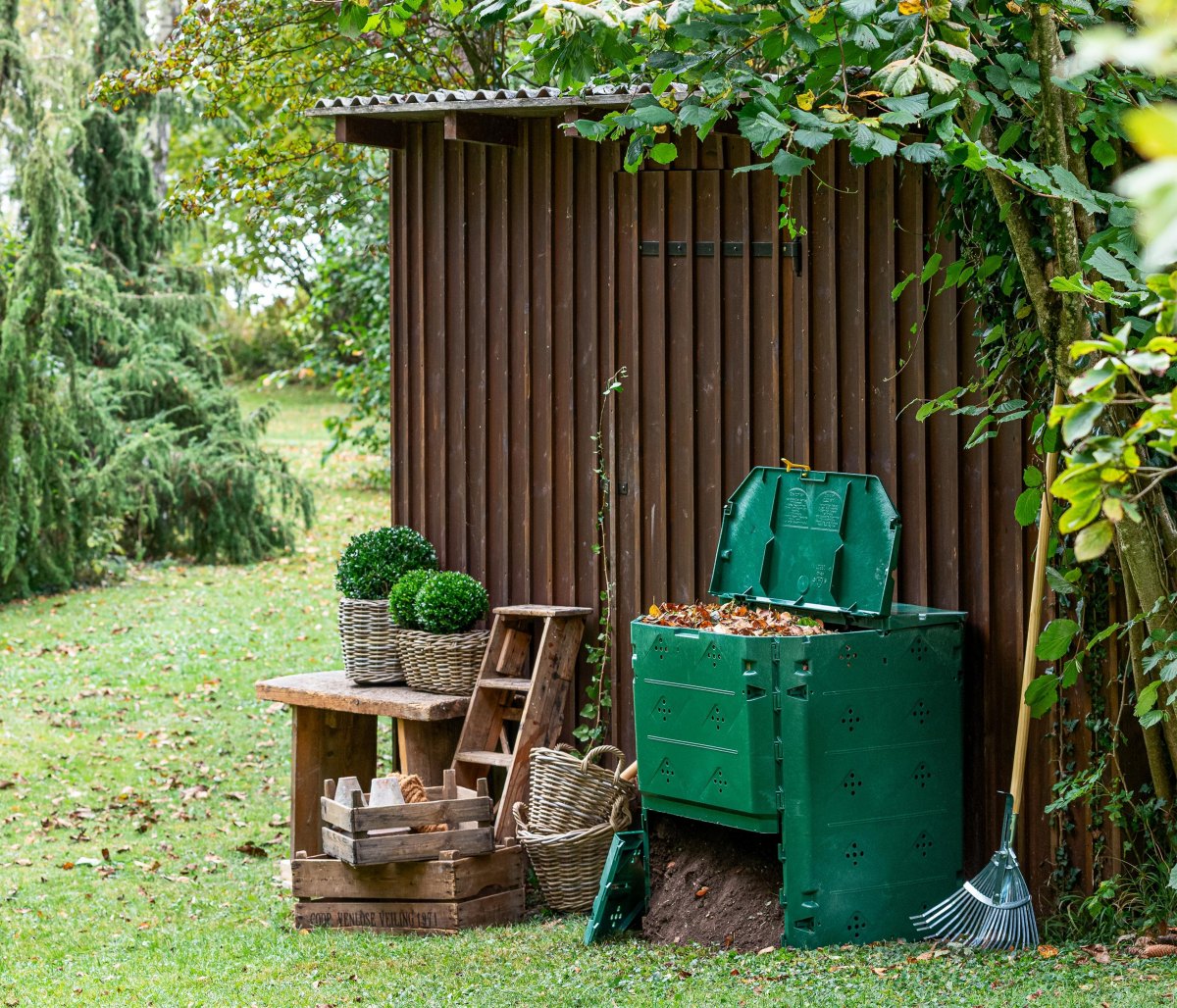 Compost bin near garden shed