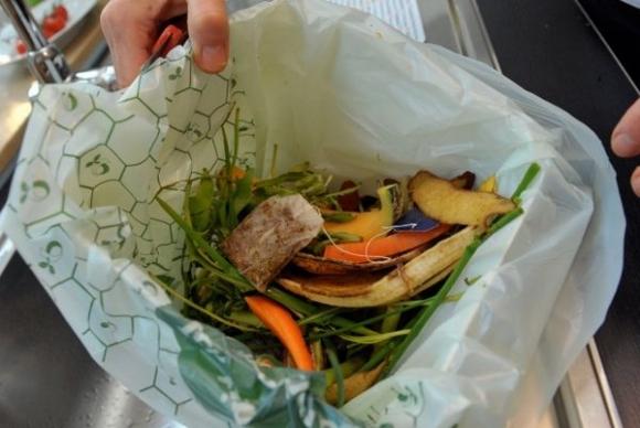 Food scraps in compost bag
