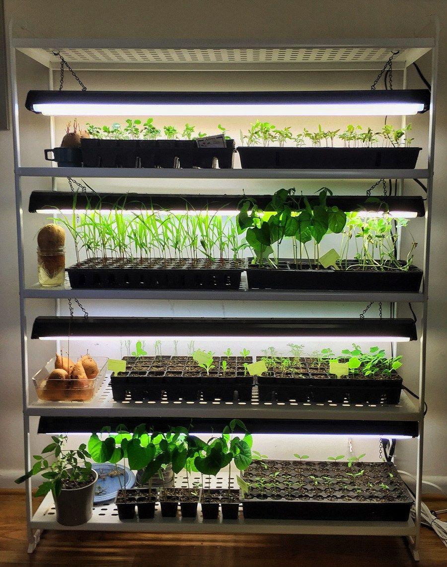 Home seed starting station with shelves and lights