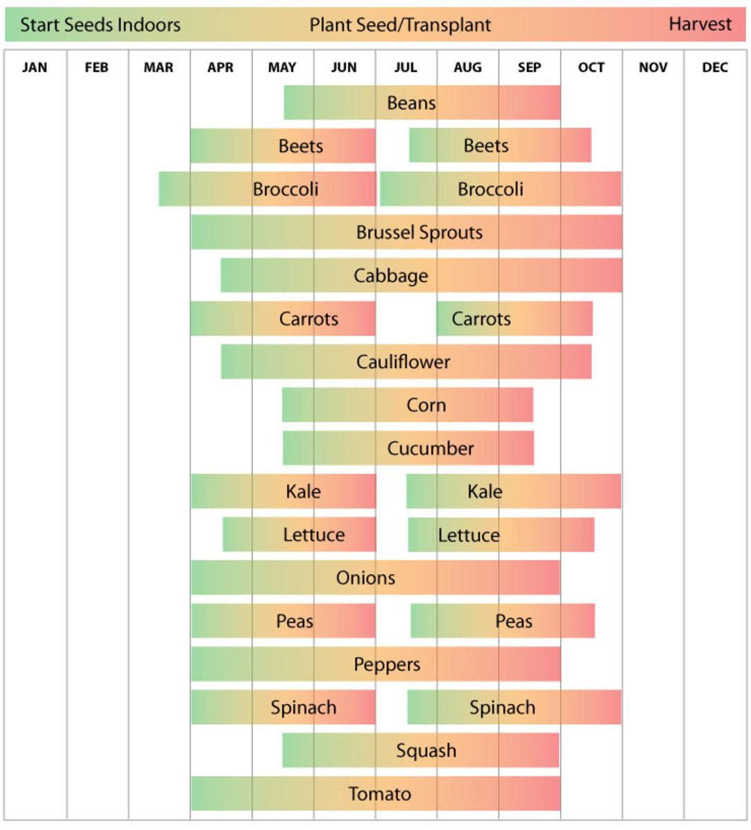 Garden plan showing succession seed starts