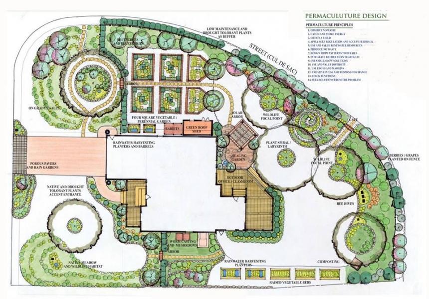 Sustainable garden layout with vegetable beds