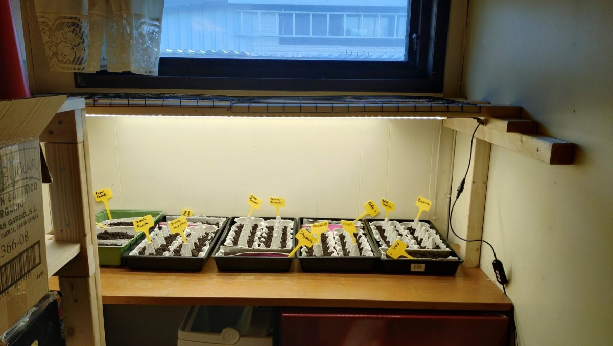DIY grow light seed station