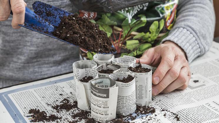 Newspaper pots for seed starting