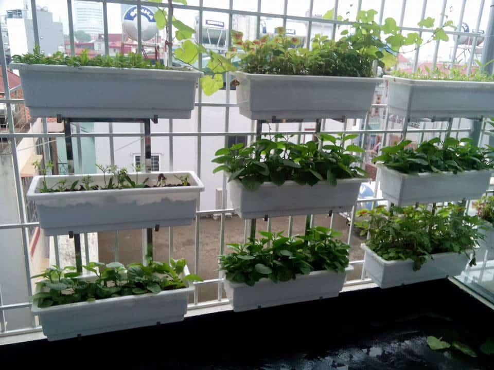 Vegetable railing planters on balcony