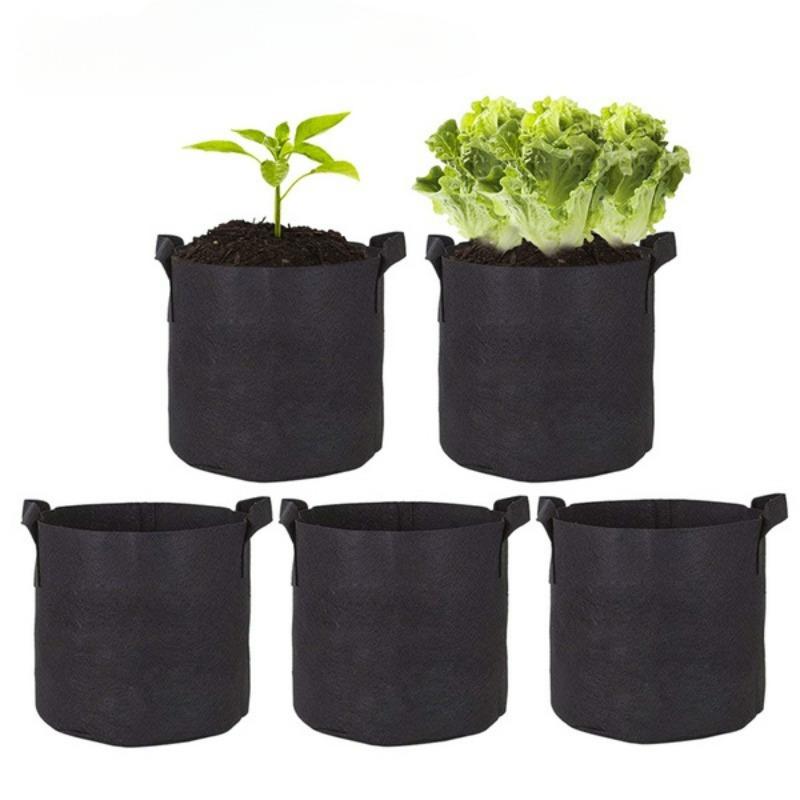 Fabric grow bags with young plants