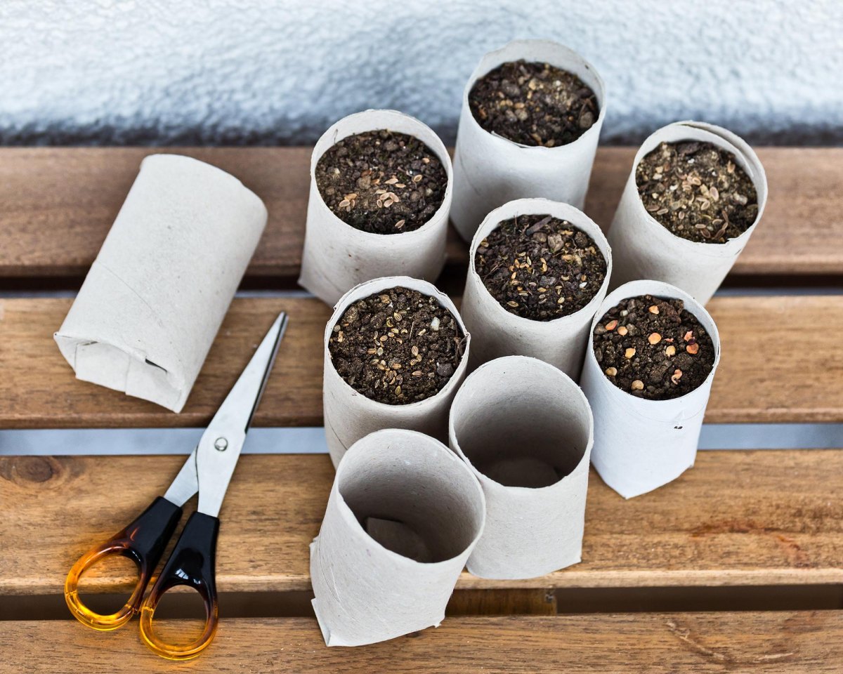 Seed pots filled with soil