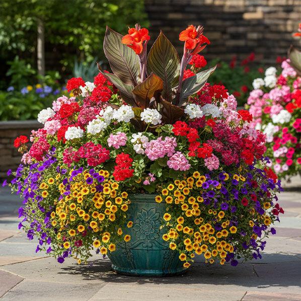 Flower-filled container garden display