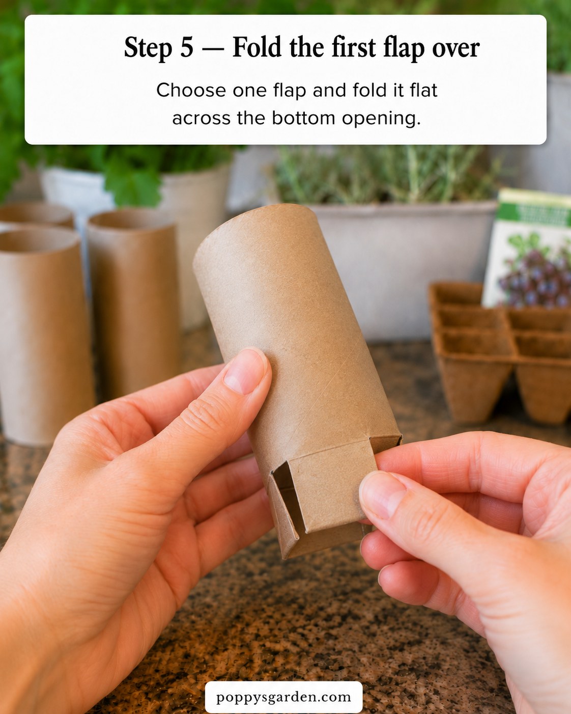 The first flap folded flat across the bottom opening of a toilet paper roll seed starter pot.