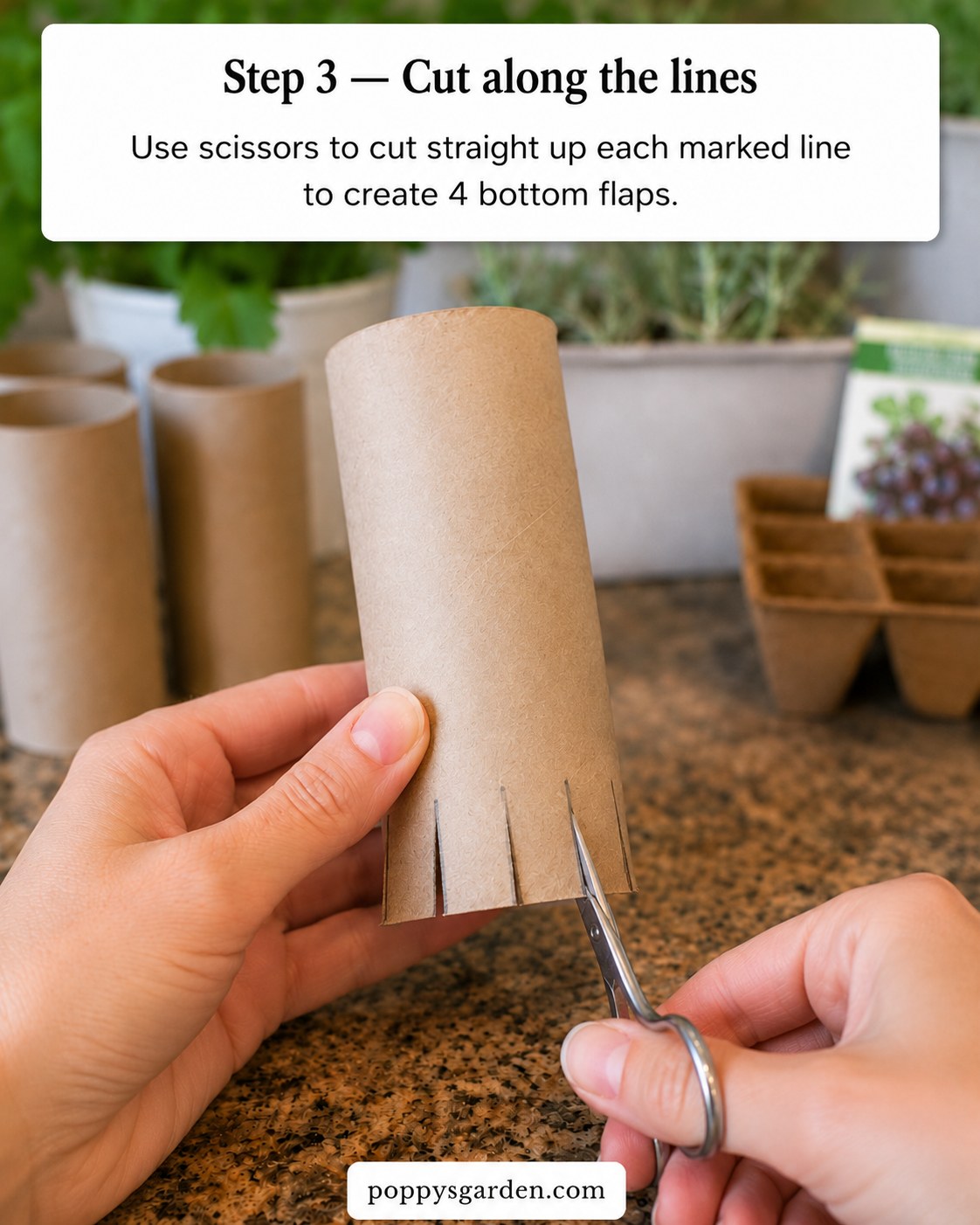 Scissors cutting along marked pencil lines to create four bottom flaps on a folded toilet paper roll seed starter pot.