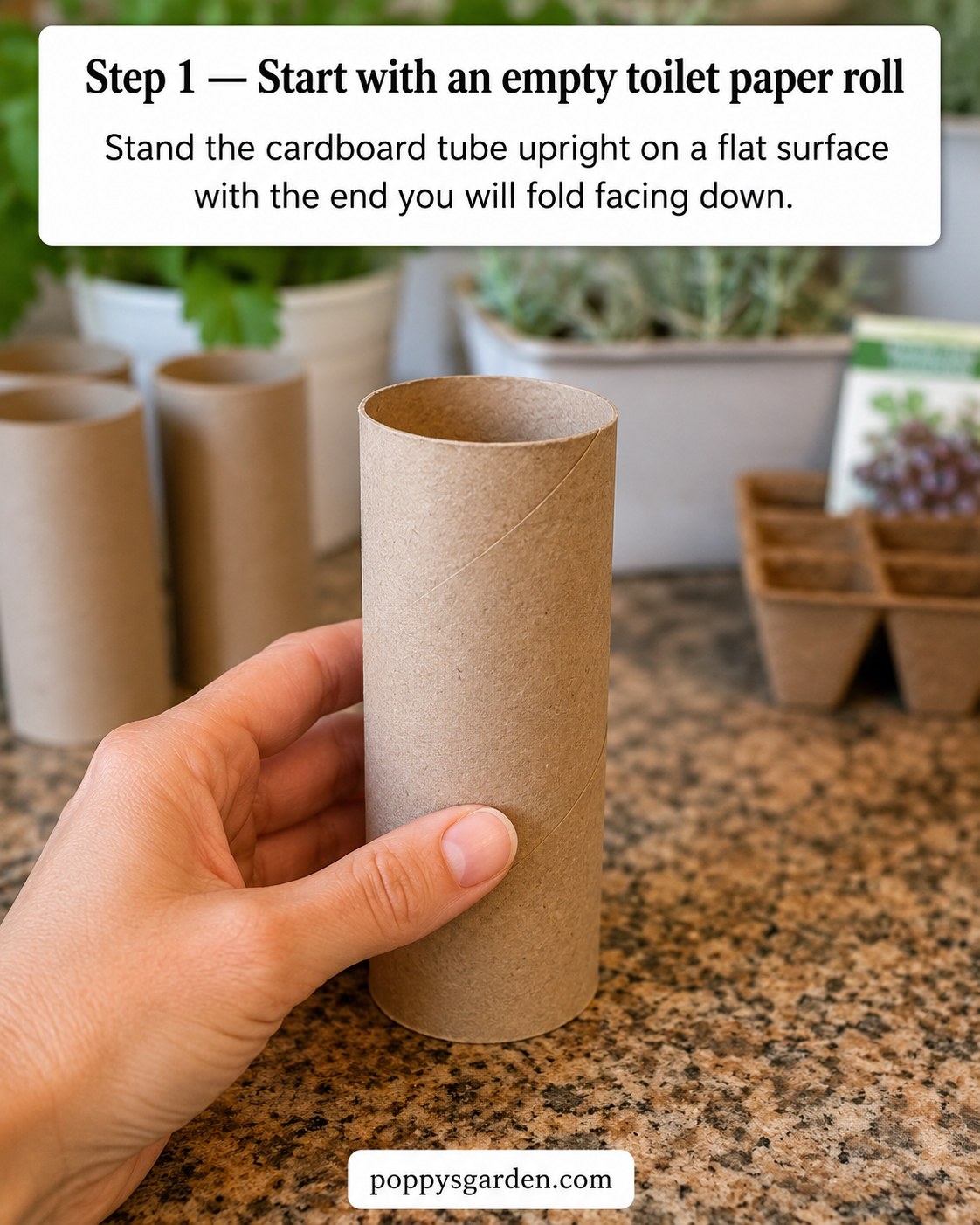 An empty cardboard tube standing upright on a counter, the first step in folding toilet paper roll seed starter pots.