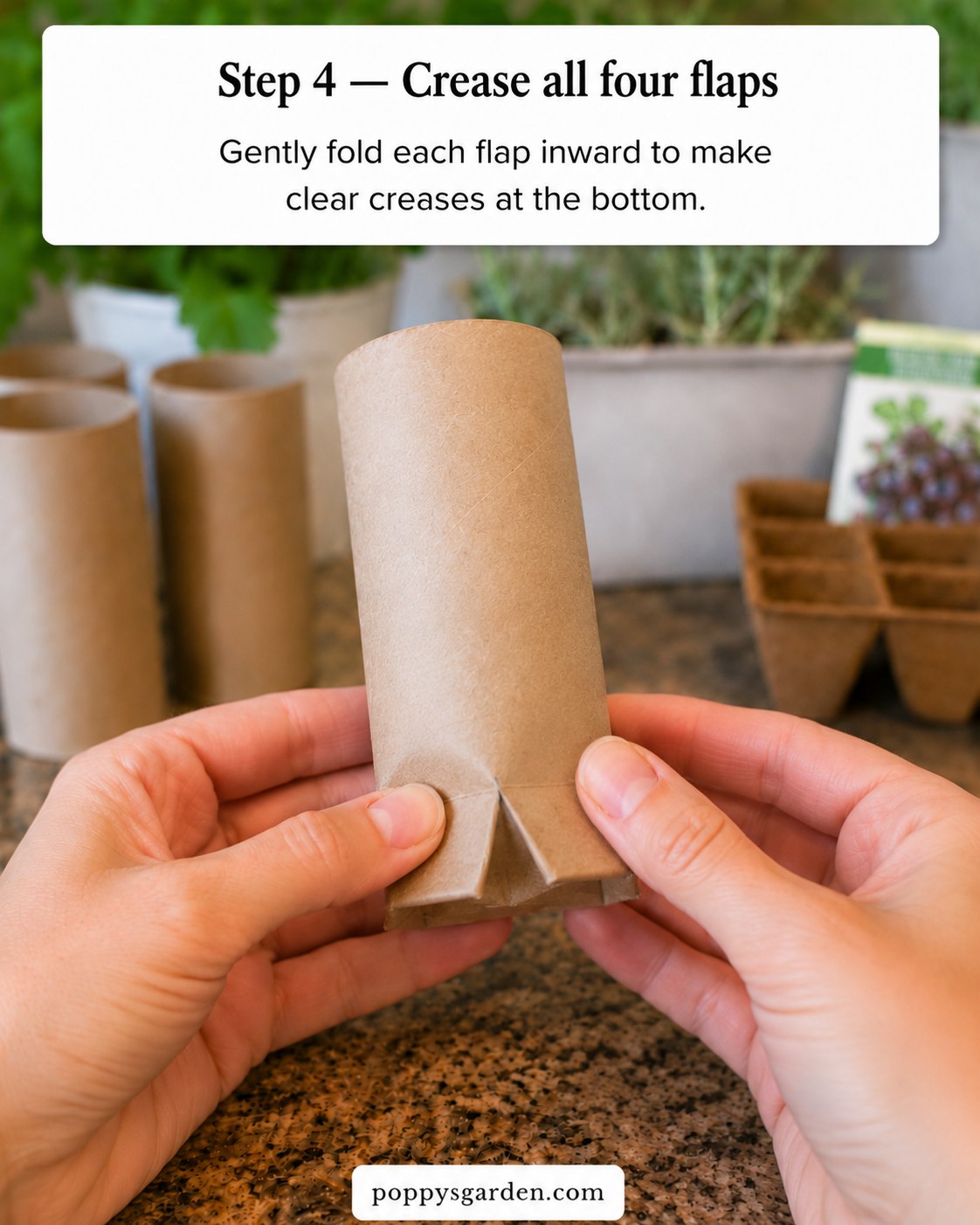 Hands creasing all four cardboard flaps inward on a toilet paper roll seed starter pot to prepare it for folding.