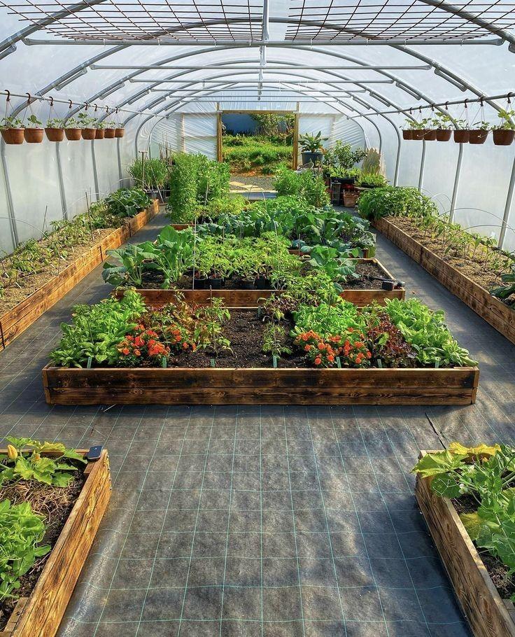 Greenhouse raised bed layout