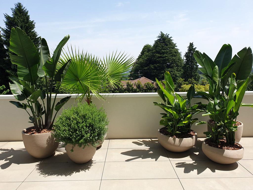 Große Bananenpflanzen und Palmen als grüne Raumteiler auf einer Terrasse