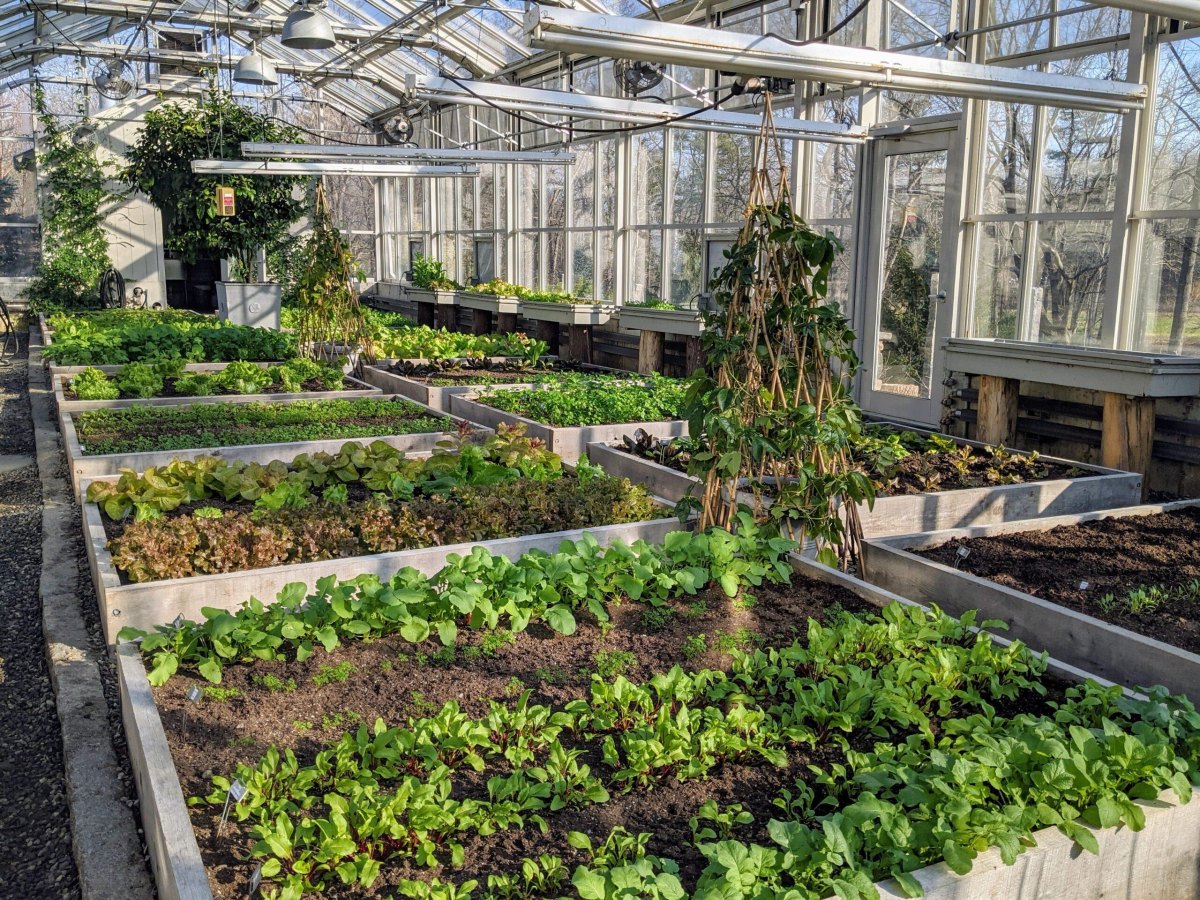 Year round vegetable garden greenhouse