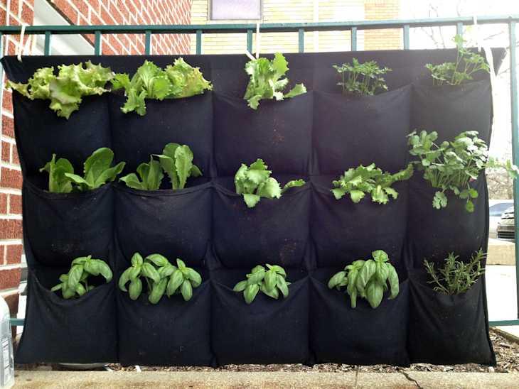 Hanging pocket vegetable garden on balcony wall