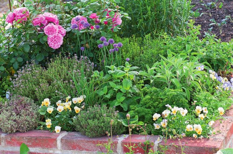 herb and flower garden mix