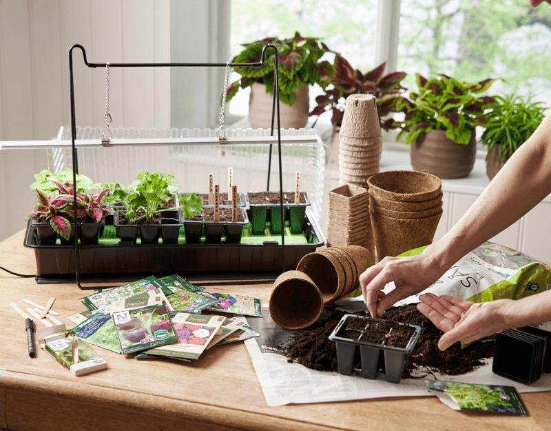 seed starting supplies on table