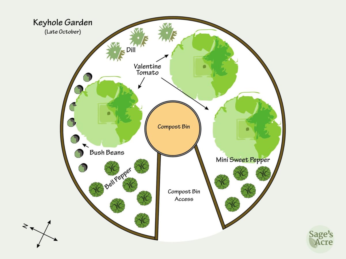 Keyhole vegetable garden