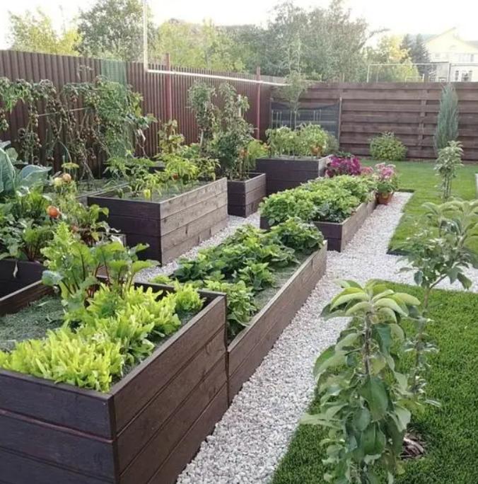 Low maintenance vegetable garden