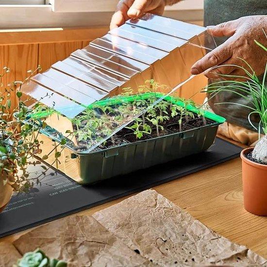 Covered seed tray mini greenhouse