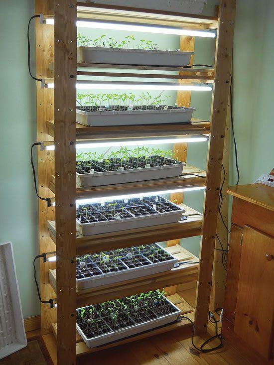 Homemade seed starting shelf