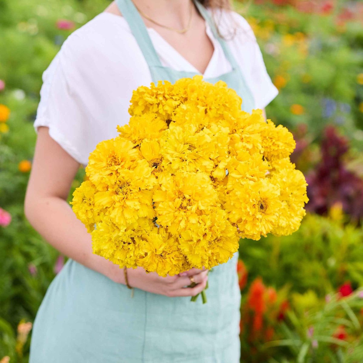 Golden marigold flower bouquet