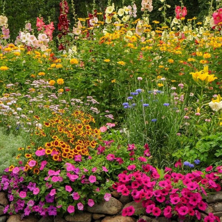 Annual and perennial flower garden mix