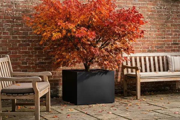 Modern black planter with autumn foliage
