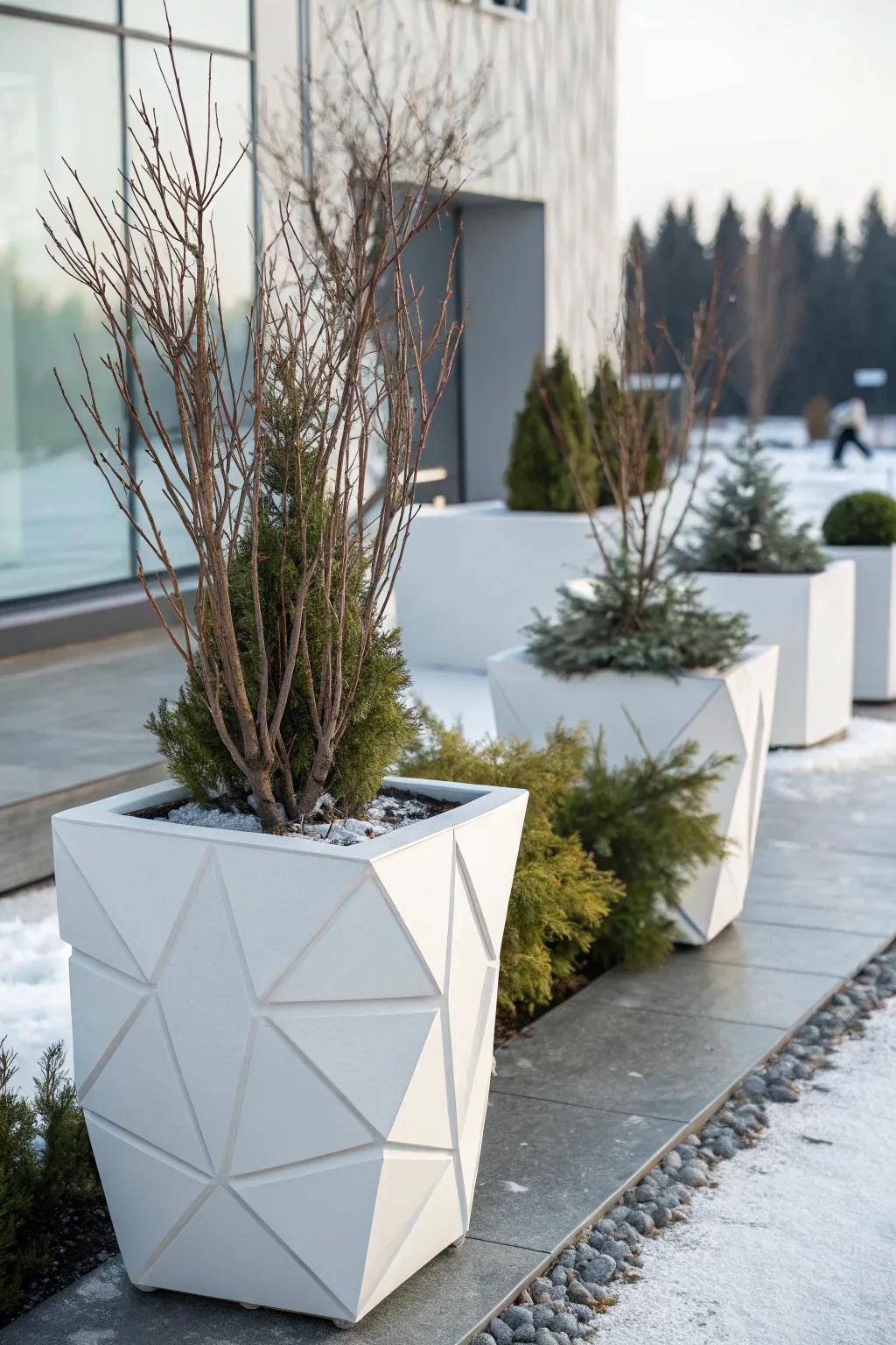 Modern winter container garden style
