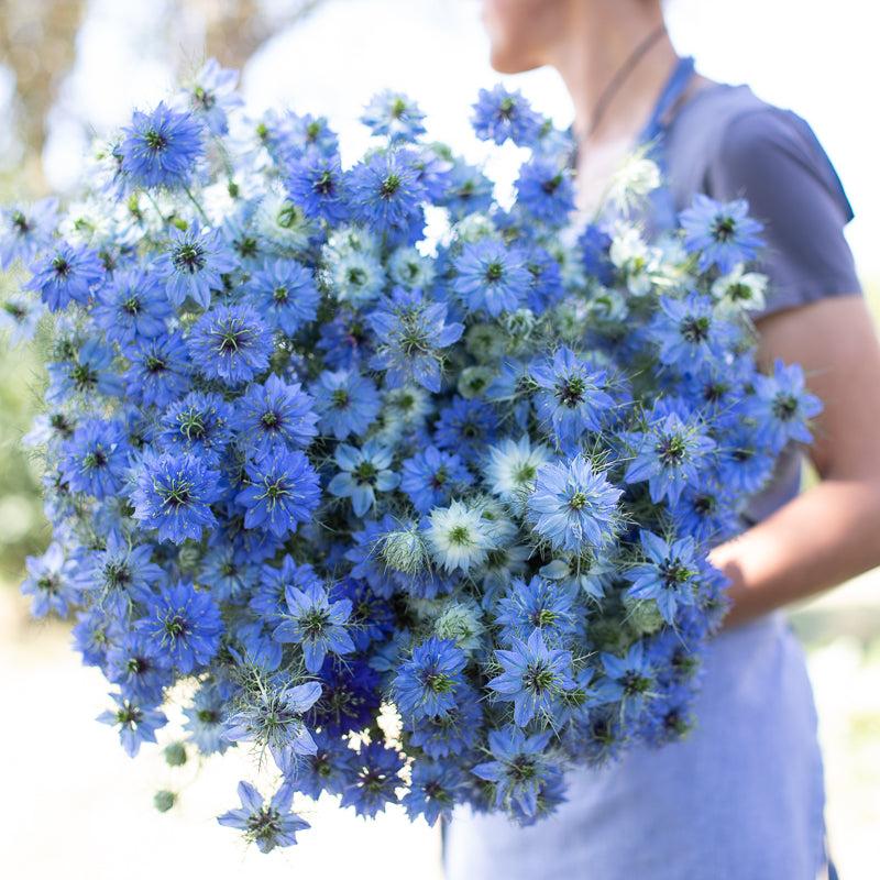 Nigella delicate flower bouquet