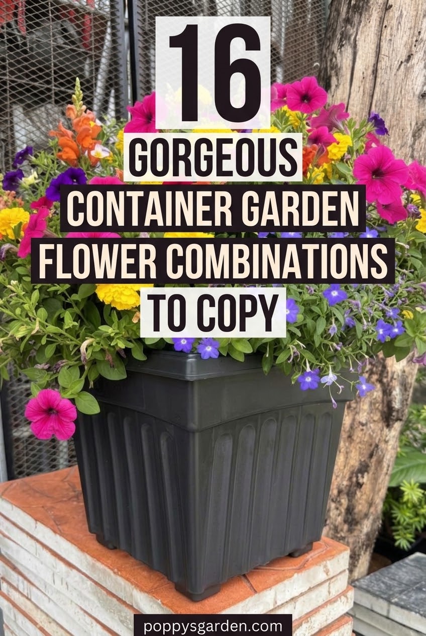 16 Gorgeous Container Garden Flower Combinations to Copy