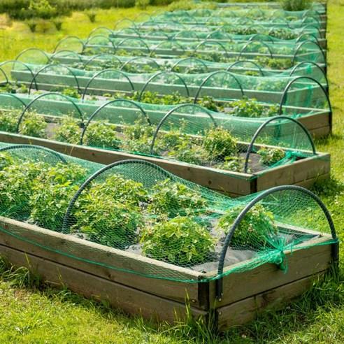 Pest netting over raised garden bed