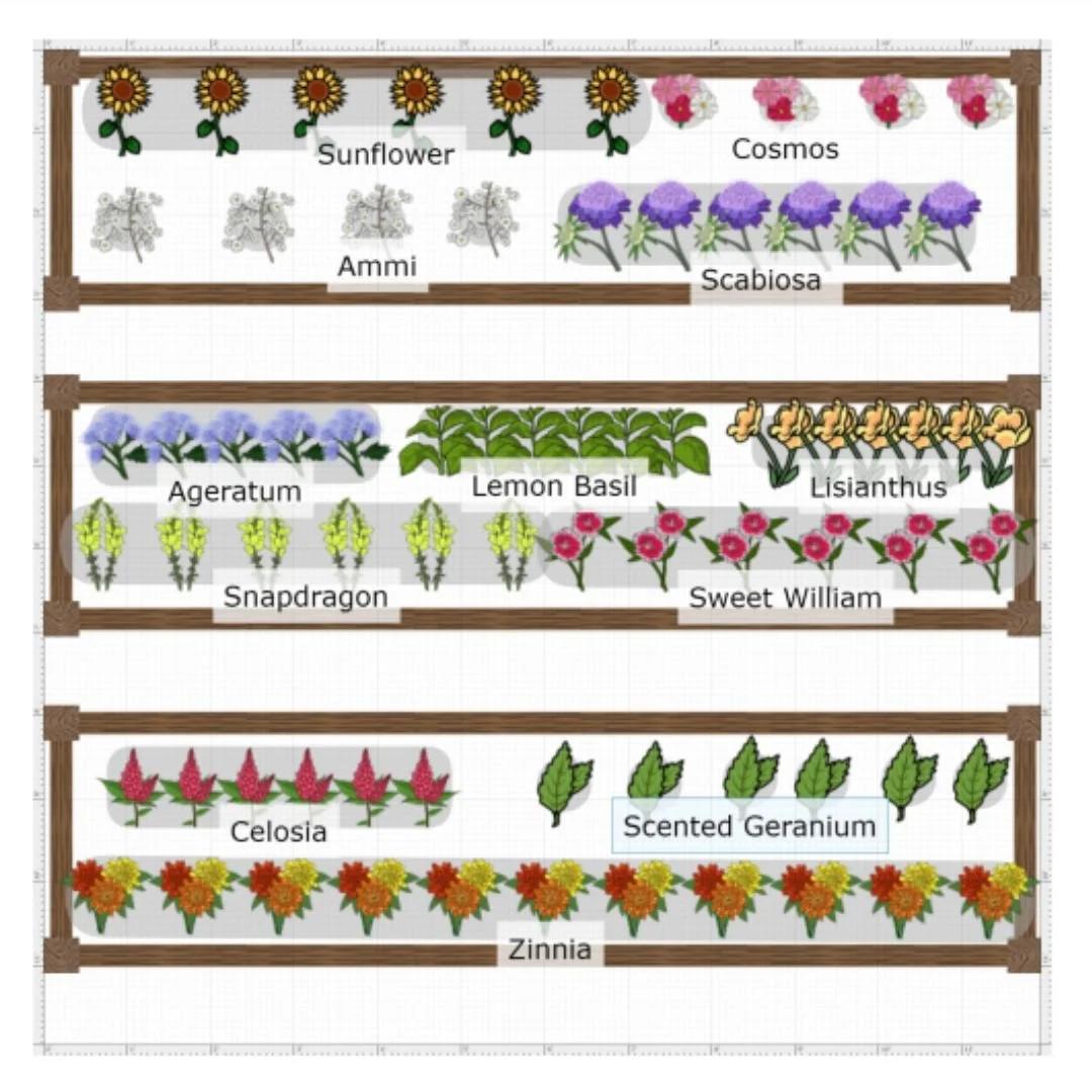 Pollinator friendly raised bed flowers