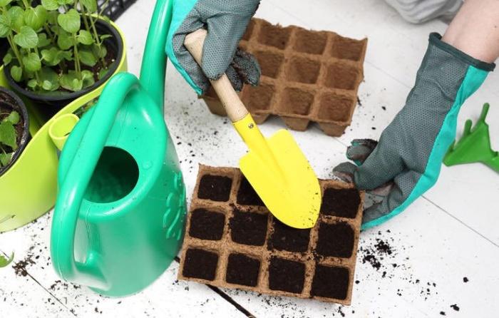 Seed trays with seed starting mix