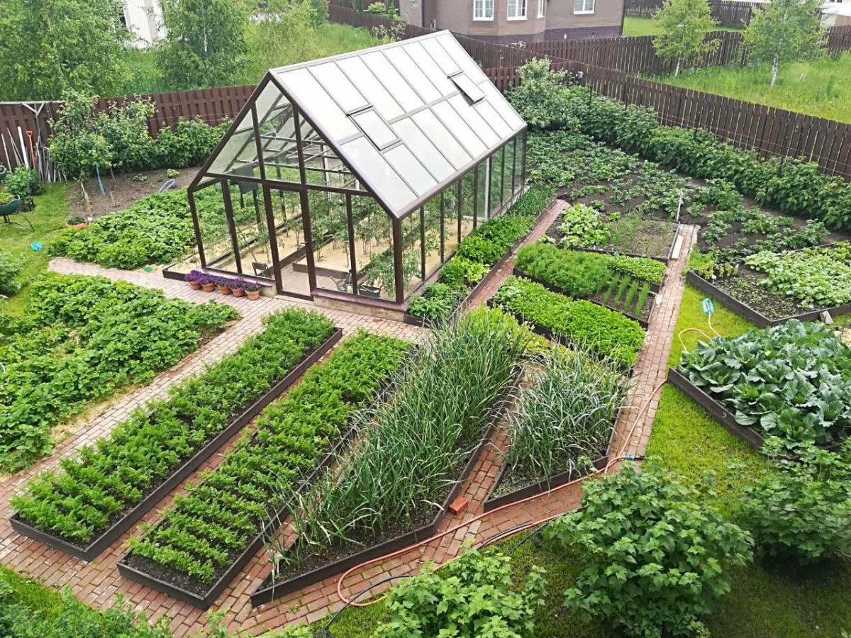 Raised beds near greenhouse