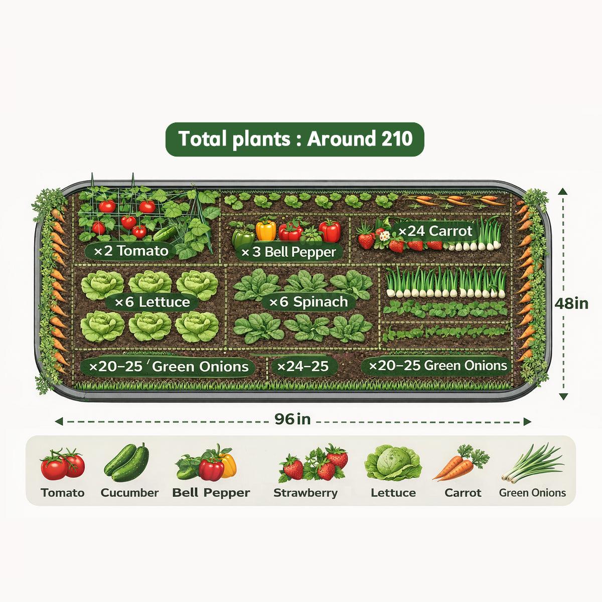 Raised Bed Garden Layout Ideas and Practical Plans