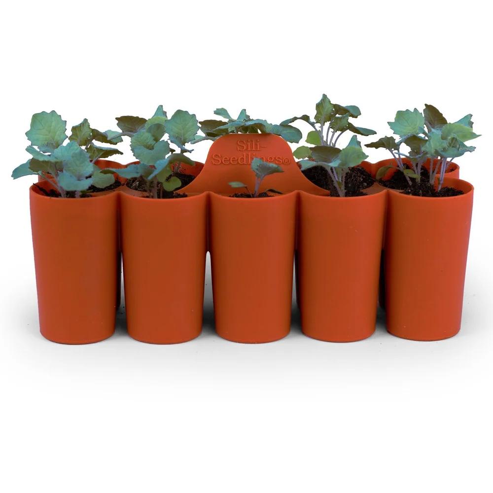 Silicone seed starter cups